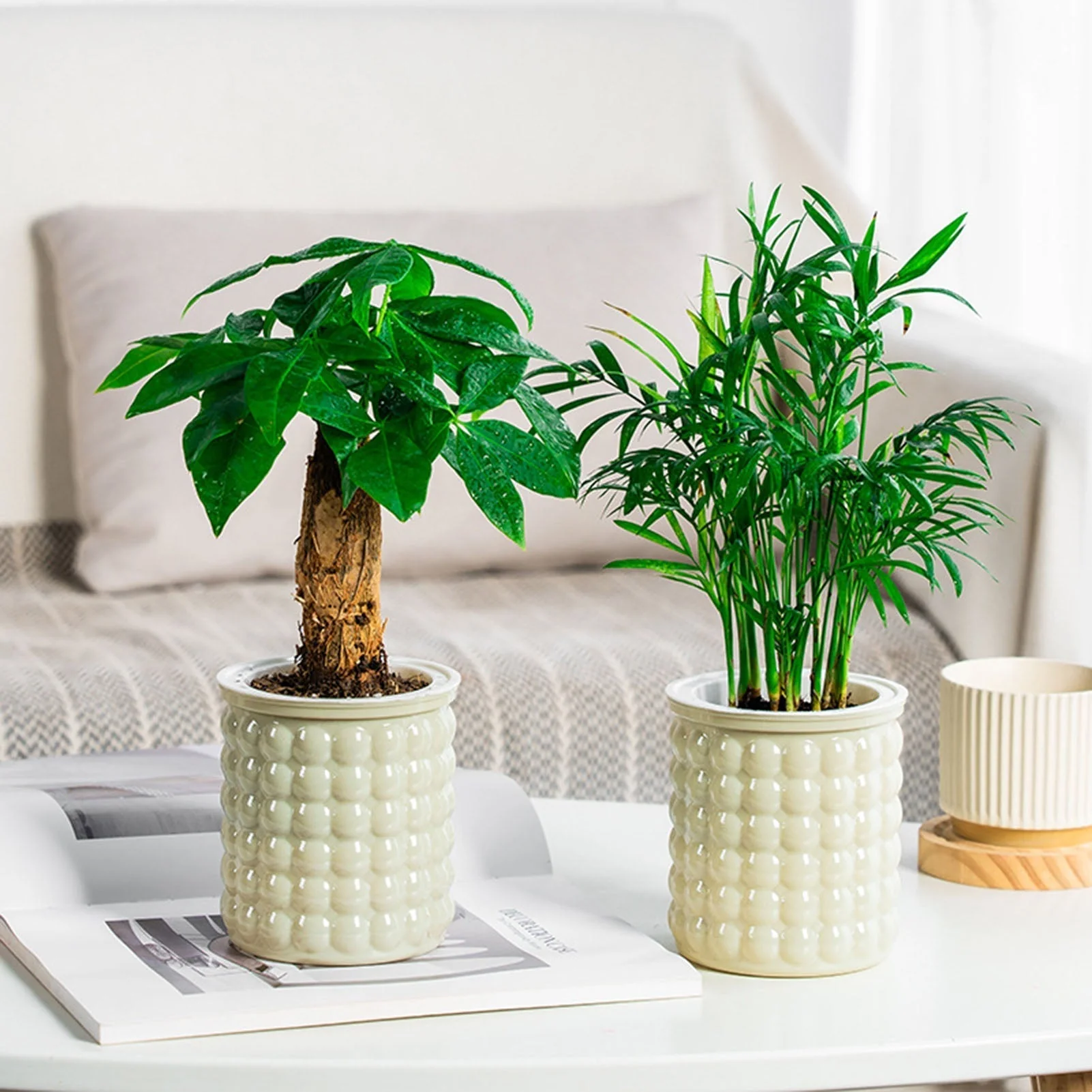 SucculentPlanter - Keep Your Succulents Juicy Without Watering Effort - Image 4