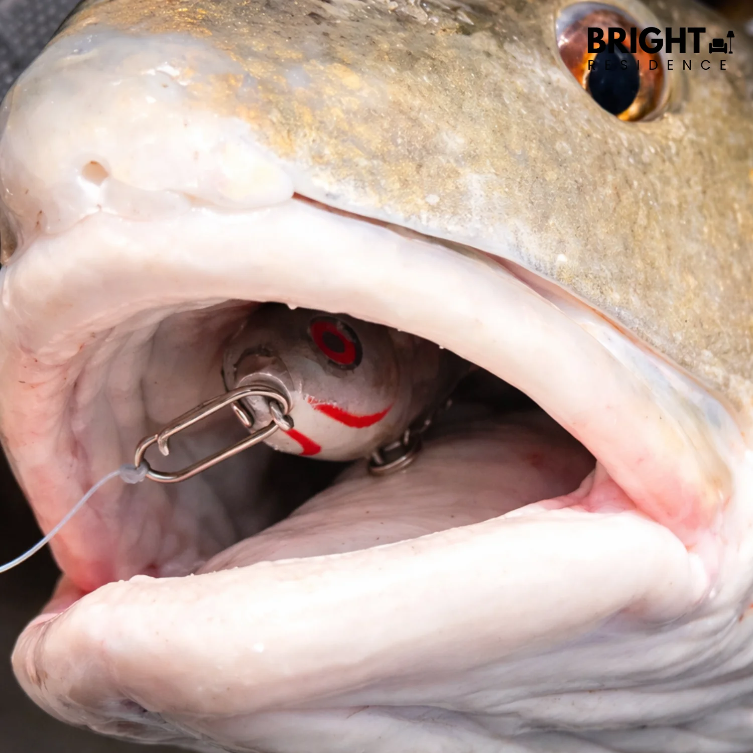 TangleFree Pro - Change bait quickly and fish more with less effort - Image 4