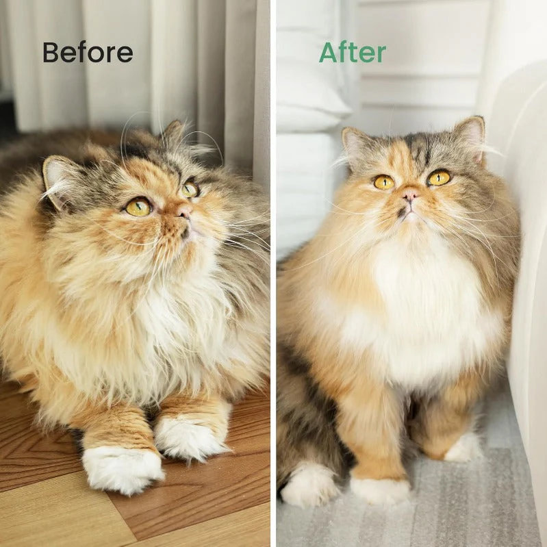 TomScrub - Instant Coat Check for a Clean, Happy Pet - Image 4