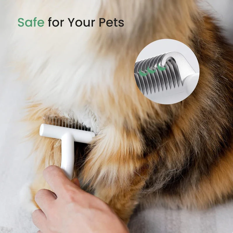 TomScrub - Instant Coat Check for a Clean, Happy Pet - Image 5