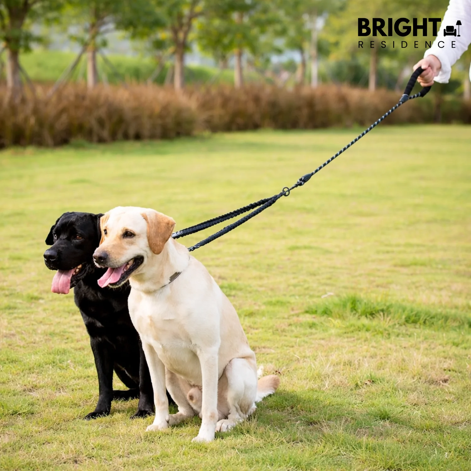 TwistFreeTrek – Effortless, Tangle-Free Walks with Two Dogs - Image 6