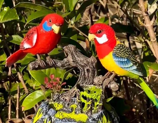 VivaParrot – Instantly Brings Gardens to Life with Chirping Fun - Image 6